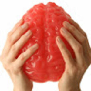 Meet your Posher, Kelley